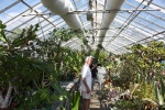 Solar Heated Greenhouse